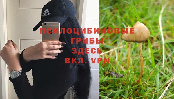каннабис Алзамай