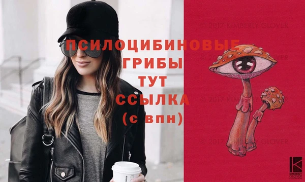 стафф Алексеевка