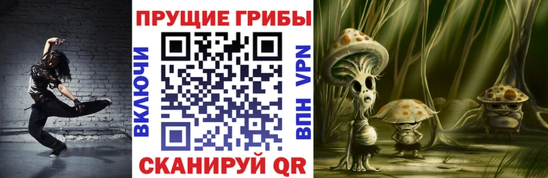 Псилоцибиновые грибы прущие грибы omg вход Оса